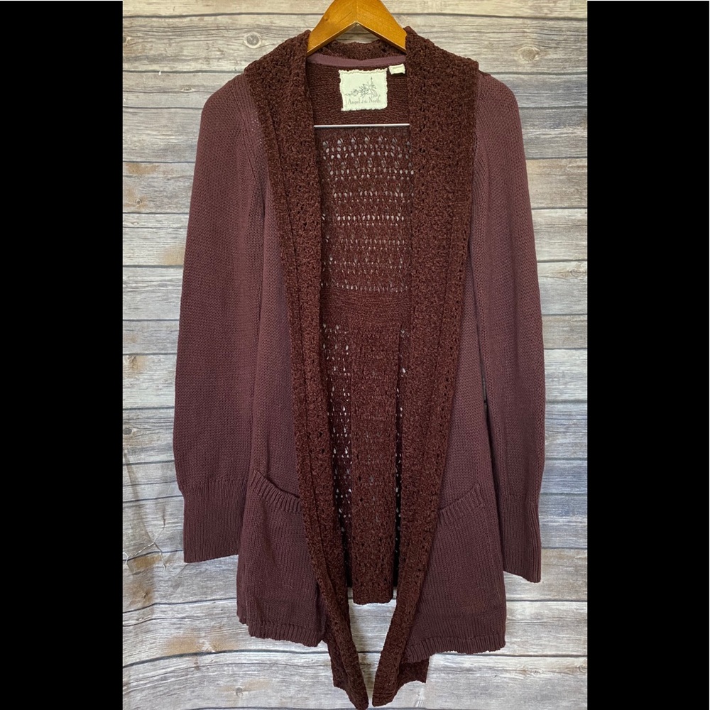 Angel of the North Anthropologie cardigan sweater